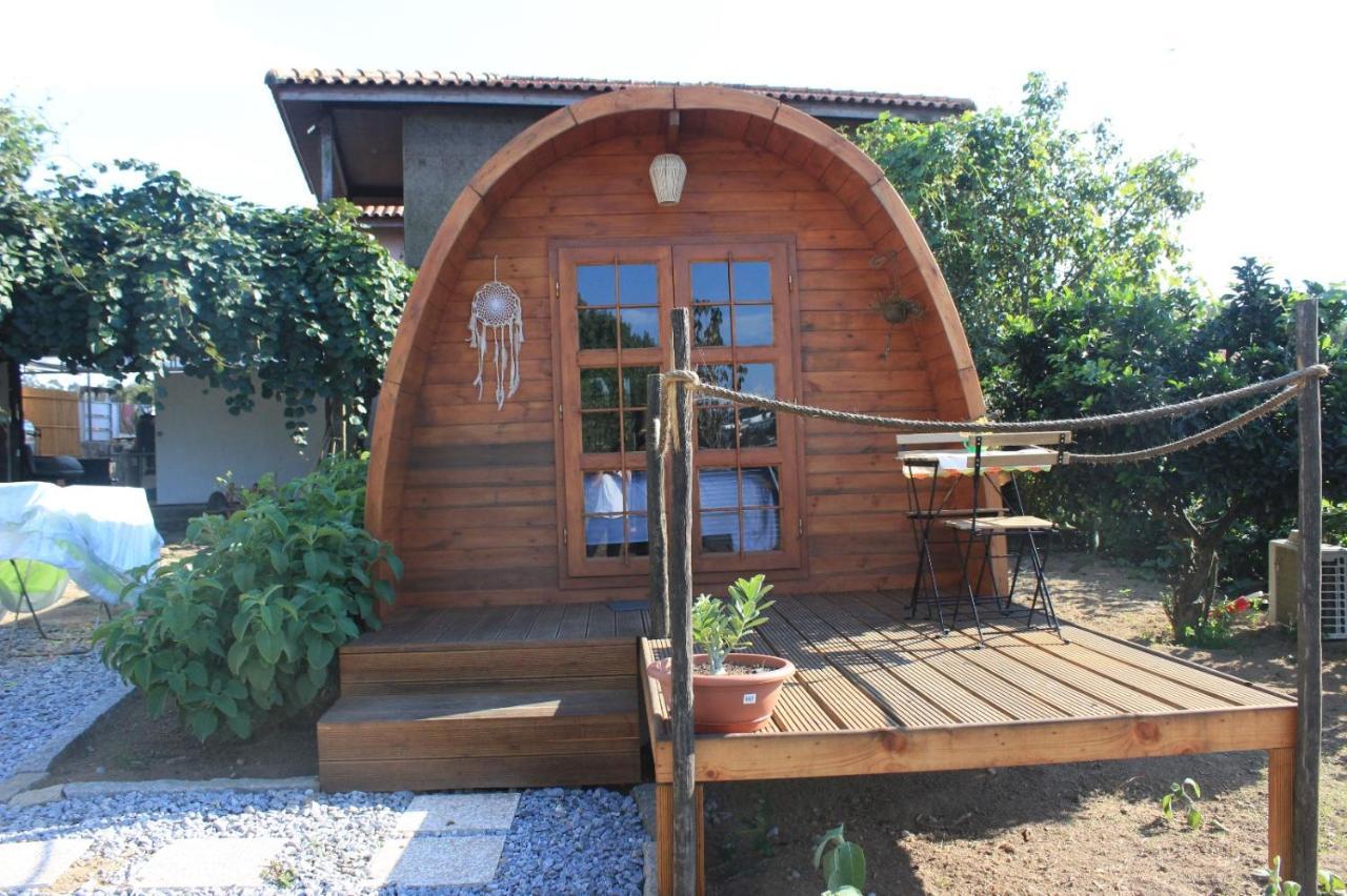 Отель Casa Da Avo Miquinhas Пасуш-ди-Феррейра Экстерьер фото